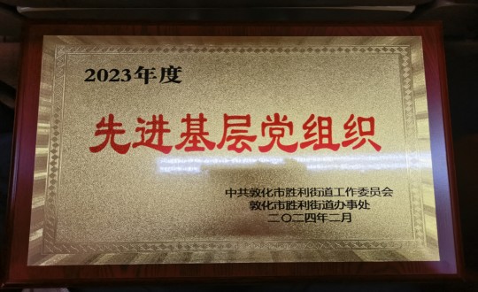 2024年2月1日，物業(yè)總公司敦化項目黨支部被授予“2023年度先進基層黨組織”榮譽稱號_副本.jpg