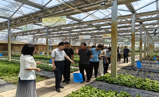2024年6月27日，中國綠色食品發(fā)展中心相關(guān)領(lǐng)導(dǎo)蒞臨農(nóng)業(yè)總公司考察調(diào)研_副本.jpg
